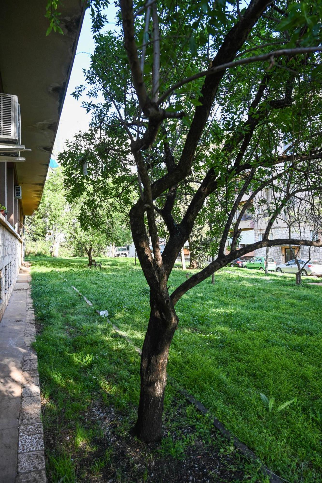 4-Star Design Apartments Bubamara Zadar Ngoại thất bức ảnh